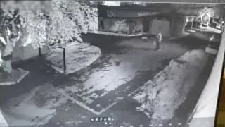 Видео: Подросток пытался поджечь машину полиции в Челябинске