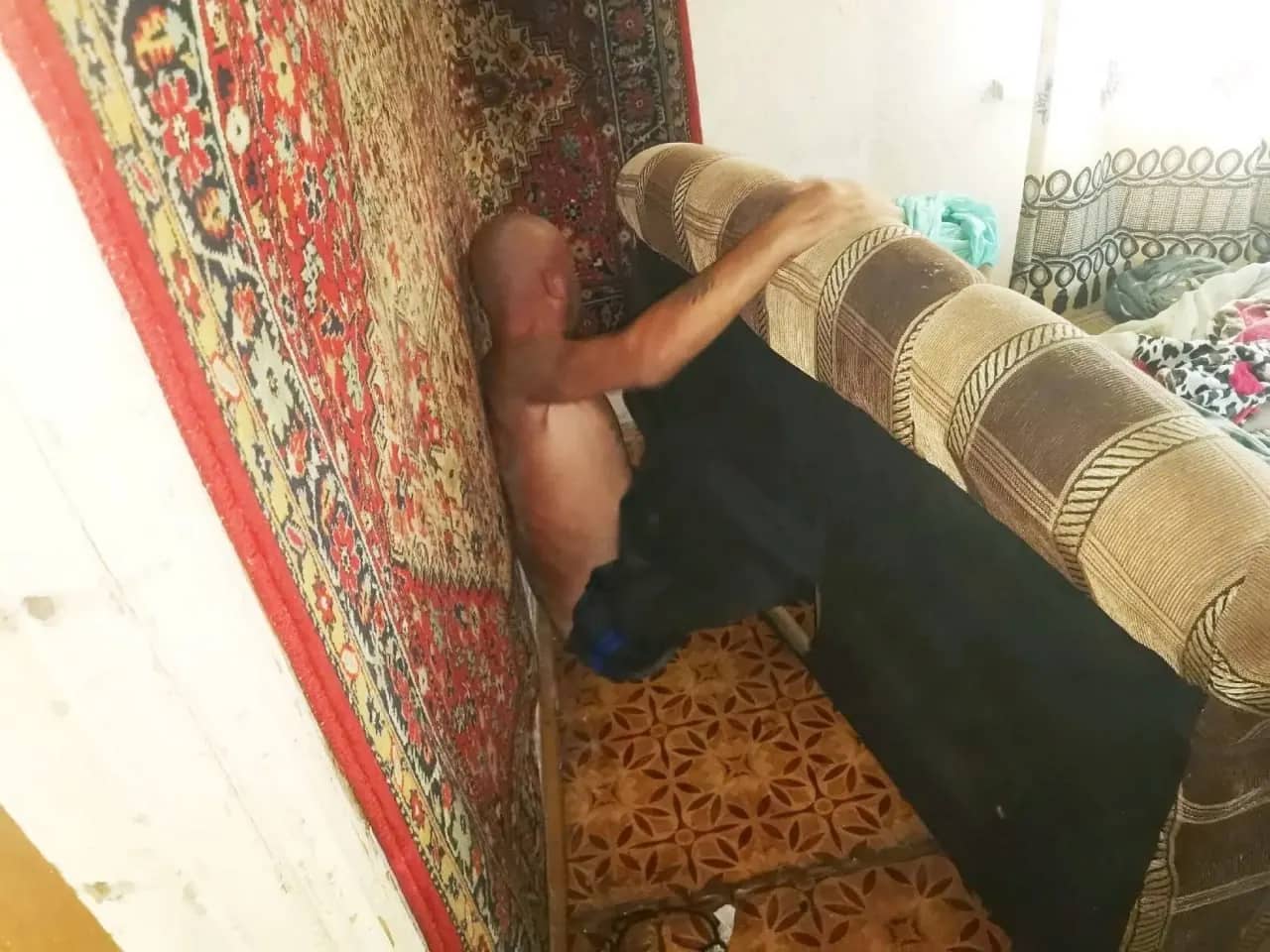 В Челябинской области должник по алиментам спрятался от приставов внутри дивана