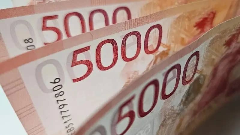Челябинцы назвали желаемый размер МРОТ в 55 тысяч рублей